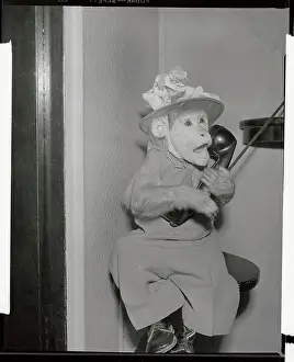 Monkey Talking on the Telephone