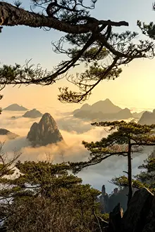 Monkey watch sea cloud, Mt. Huangshan in Anhui, China