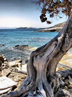 Images Dated 25th August 2010: Monodendri Beach (Lipsi Island)