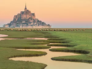 Images Dated 19th January 2016: Mont Saint-Michel