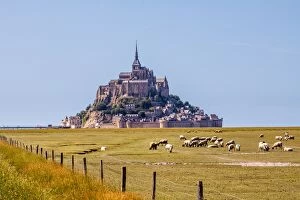 Images Dated 11th July 2015: Mont Saint-Michel and meadow during the day