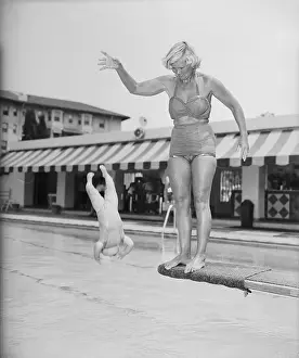 Six Month Old Diving Off Board