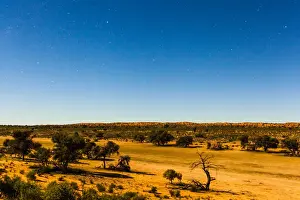 A full moon lights up the whole of the landscape at night in the Kgalagadi transfrontier park