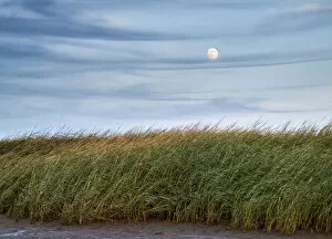 Images Dated 26th September 2015: Full moon rising at First Encounter Beach, Cape Cod, Massachusetts, USA