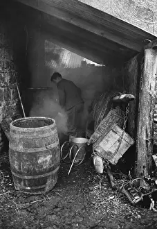Brewing And Winemaking Prints: Moonshine Whiskey