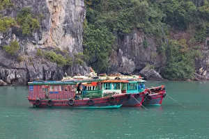 Images Dated 22nd April 2015: Moored tourist boats