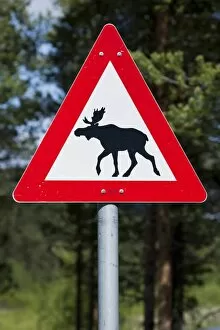 Scandinavia Collection: Moose warning sign, Norway, Scandinavia, Europe