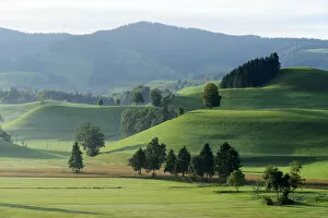 Images Dated 11th April 2012: Morainic landscape, Hirzel area, Zurich, Switzerland, Europe