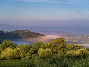 Landschaft Prints: Morgen mit Nebel in der Toskana