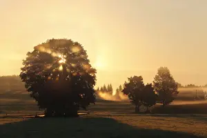 Oberbayern Prints: Morning at Dietramszell, Upper Bavaria, Bavaria, Germany, Europe
