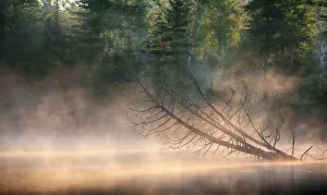 Images Dated 13th August 2011: Morning fog on lake