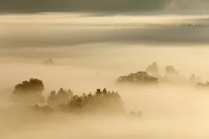 Images Dated 18th October 2011: Morning fog over Loisach Moor or Loisach-Kochelsee-Moor, Blaues Land region, Upper Bavaria