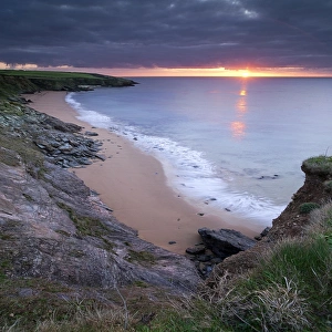 Images Dated 6th March 2012: Morning glory