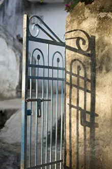 Images Dated 11th October 2014: Morning light on a gate, Udaipur, Rajasthan, India