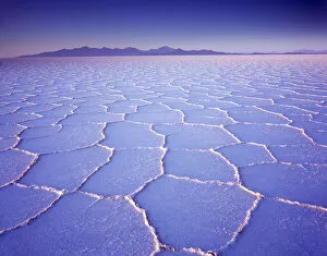 Images Dated 13th August 2014: Morning light, Salar de Uyuni, Salt Lake, Altiplano, Bolivia