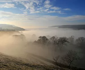 Terry Roberts Landscape Photography Collection: Morning mist
