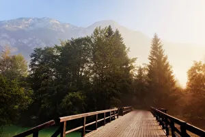 Images Dated 19th August 2011: Morning mist over Lake Bohinj