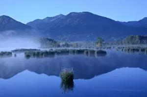 Morning mist over moorland, alpine foothills, Grundbeckenmoor marsh, Nicklheim, Bavaria, Germany, Europe