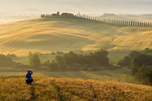 Images Dated 11th June 2014: Morning time in Tuscany