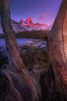 Images Dated 30th April 2018: Morning view of Mount fitzroy from Lake Capri
