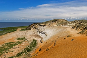 Images Dated 11th June 2014: Morsum Cliff, near Morsum, Sylt, Schleswig-Holstein, Germany
