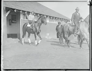Jamaica Prints: Morvich Leaving Stable