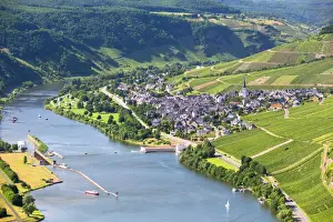 Rheinland Pfalz Prints: Moselle River with the village of Enkirch surrounded by vineyards