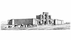 Camel Collection: Mosque and caravan of camels