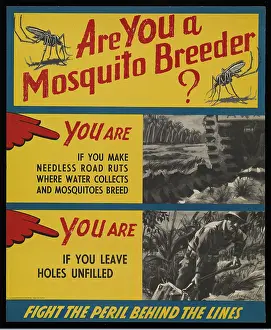 Wwii Prints: Are You A Mosquito Breeder?