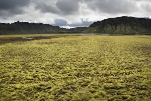 Images Dated 28th August 2011: Moss-covered mountains, landscape near Maelifell, Highland, Iceland, Europe