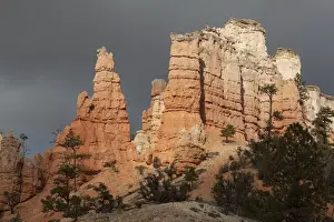 Mossy Cave, Bryce Canyon National Park, Utah, USA, America