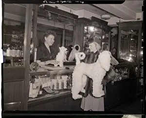 Mail Prints: Mother Buying a Toy for Her Daughter