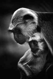 Images Dated 31st August 2011: Mother & Child
