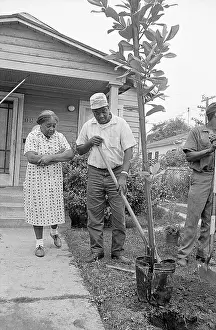 Watts Prints: Mother Wateches Son Plant Tree in Yard