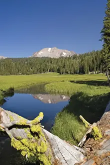 Mount Lassen Reflected In A Stream