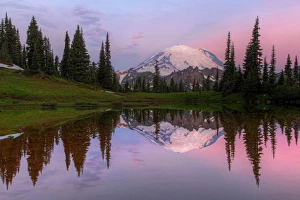 Images Dated 28th August 2011: Mount Rainier Reflection Dawn