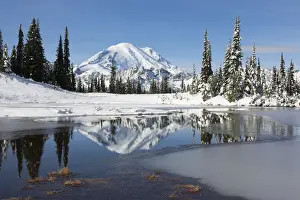 Mount Rainier and Upper Tipsoo Lake, Mount Rainier National Park, Washington State, USA