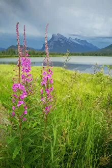 Images Dated 30th June 2016: Mount Rundle