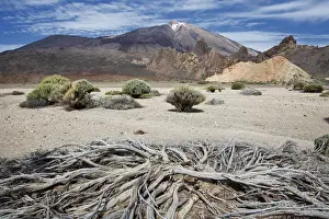 Mount Teide landscape