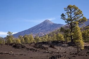 Images Dated 7th January 2013: Mount Teide summit as seen from the south