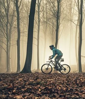 Images Dated 25th January 2016: Mountain biker in misty forest