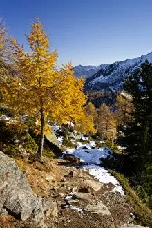 Images Dated 23rd October 2011: Mountain climber during the ascent to Hoechster Huette hut in Ulten Valley above Weissbrunnsee