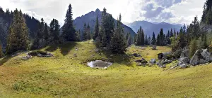 Jour Prints: Mountain forest and a lake near Mauritzalm in the Rofan Mountains