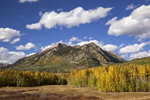 Images Dated 19th September 2015: Mountain and forest landscape in autumn, Crested Butte, Colorado, USA