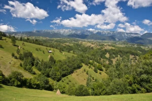 Images Dated 5th August 2013: Mountain landscape with meadows in front of mountains, Carpathians, Romania
