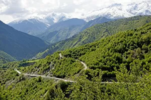 Images Dated 21st May 2016: Mountain road at Mount Ushba in the Caucasus of Georgia