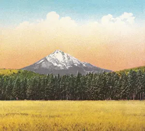 Ecology Prints: Mountain Scene