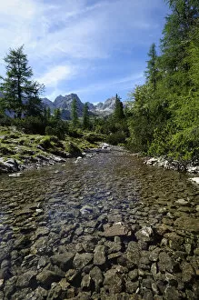 Mountain stream in front of Mt Drachenkopf, Wetterstein mountain range, Tyrol, Austria, Europe, PublicGround