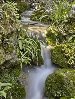 Images Dated 18th April 2013: Mountain stream among rocks and vegetation
