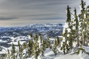 Mountainous landscape, Mt, Washington Ski Resort bordering Strathcona Provincial Park, Vancouver Island, British Columbia, Canada